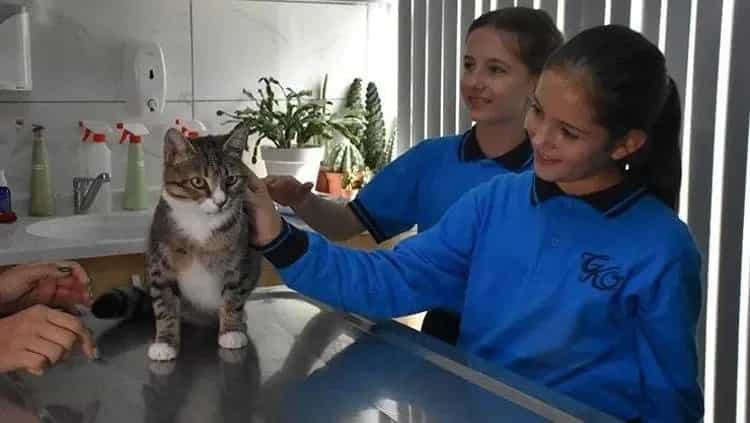 Harçlıklarını kendilerine değil ona ayırdılar! Kurabiye’nin tedavisi için harekete geçtiler