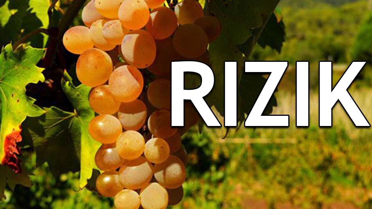 Rızık ve Rezzâk: Rızkı Verene Mi, Yoksa Rızka Mı Bağlanıyorsunuz?